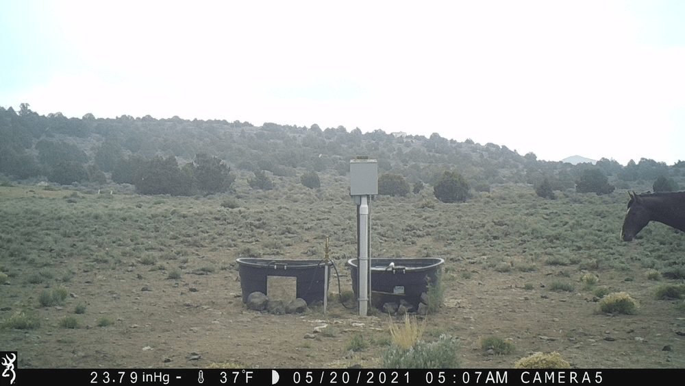 Virginia Range Snowing in May 05-20-21