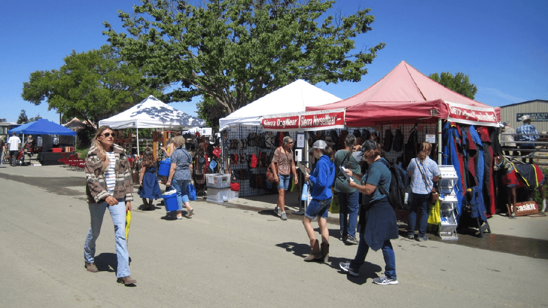 WSHE Day 1 Part 2 06-11-21