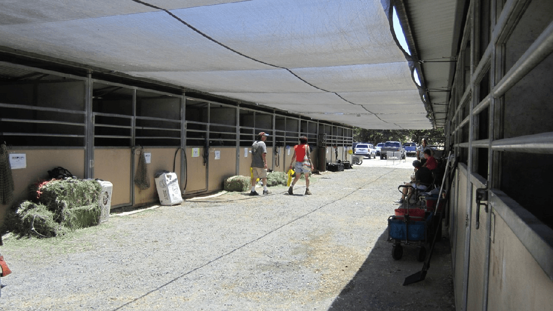 WSHE Day 1 Part 3 06-11-21