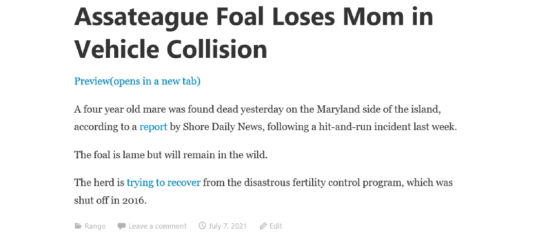 Morons at WordPress at it Again 07-07-21