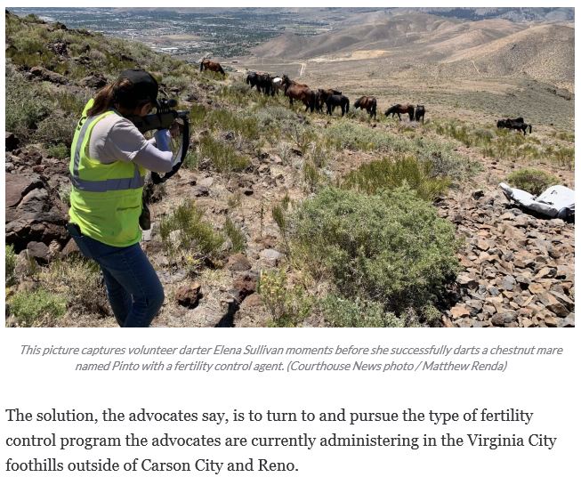 Virginia Range Darting Program 08-20-21
