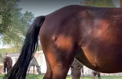 VR Darting Injury 09-15-21