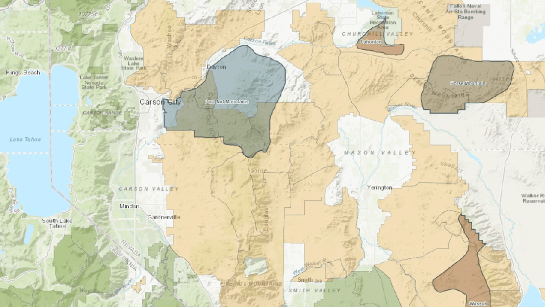 Pine Nut Allotments 11-19-21