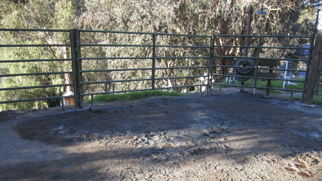 Fixing Wet Spots 12-11-21