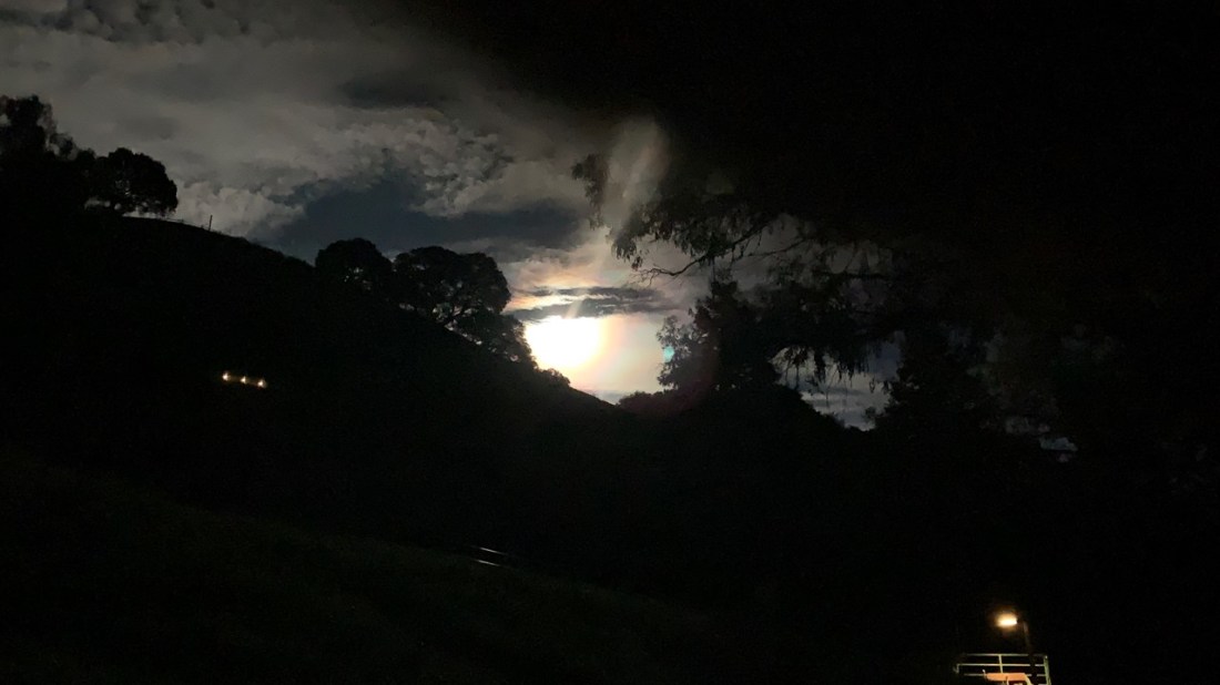 Moon Rising 01-17-22