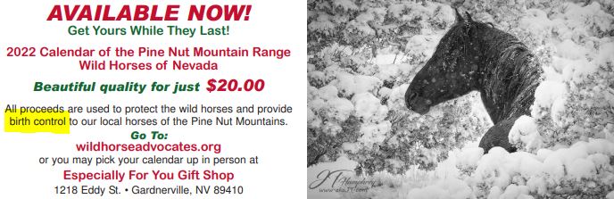 Pine Nut Calendar 02-05-22