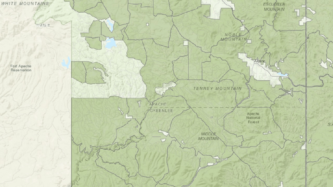 ASNF Jumping Mouse Allotments 03-24-22