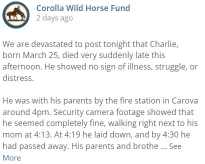 Advocates Devastated 04-16-22