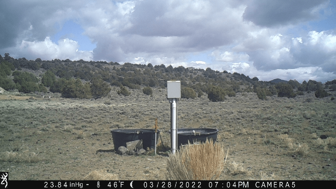 Horse-Free Friday 04-29-22