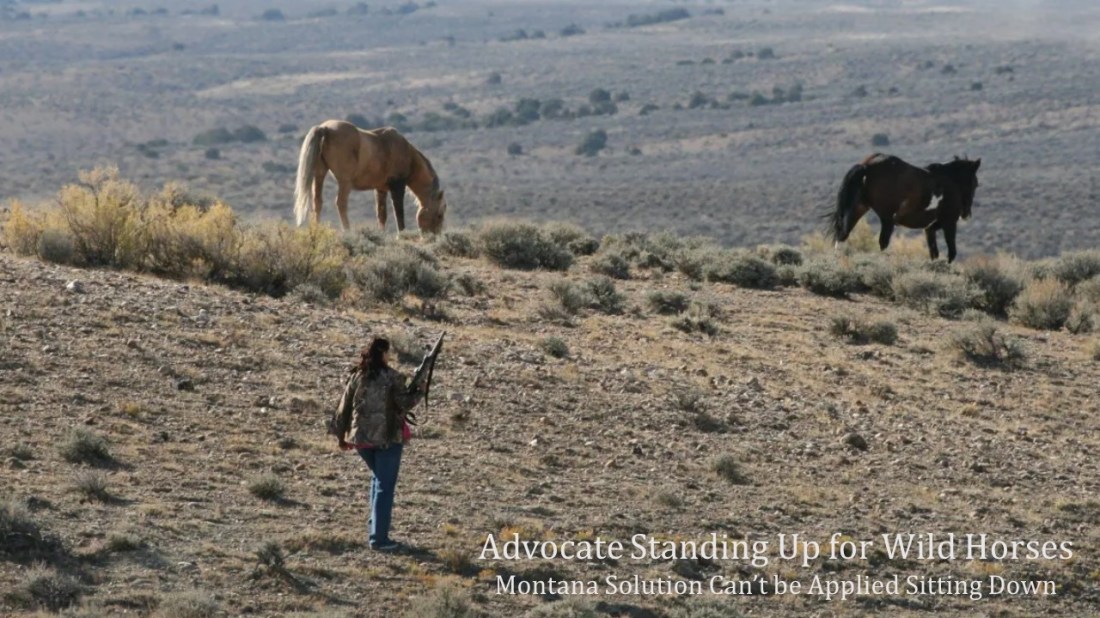 Advocate Standing Up for Wild Horses 06-14-22