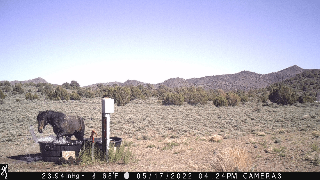 How Carbonation Was Discovered 05-17-22