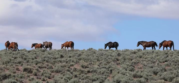 APN 1322-00-002-050 07-17-22