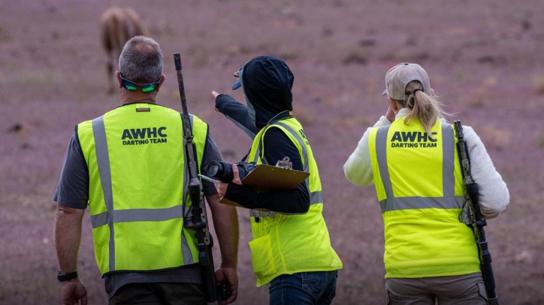 CAAWH Field Darters 07-16-22