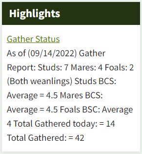 Devils Garden Roundup Day 3 09-14-22