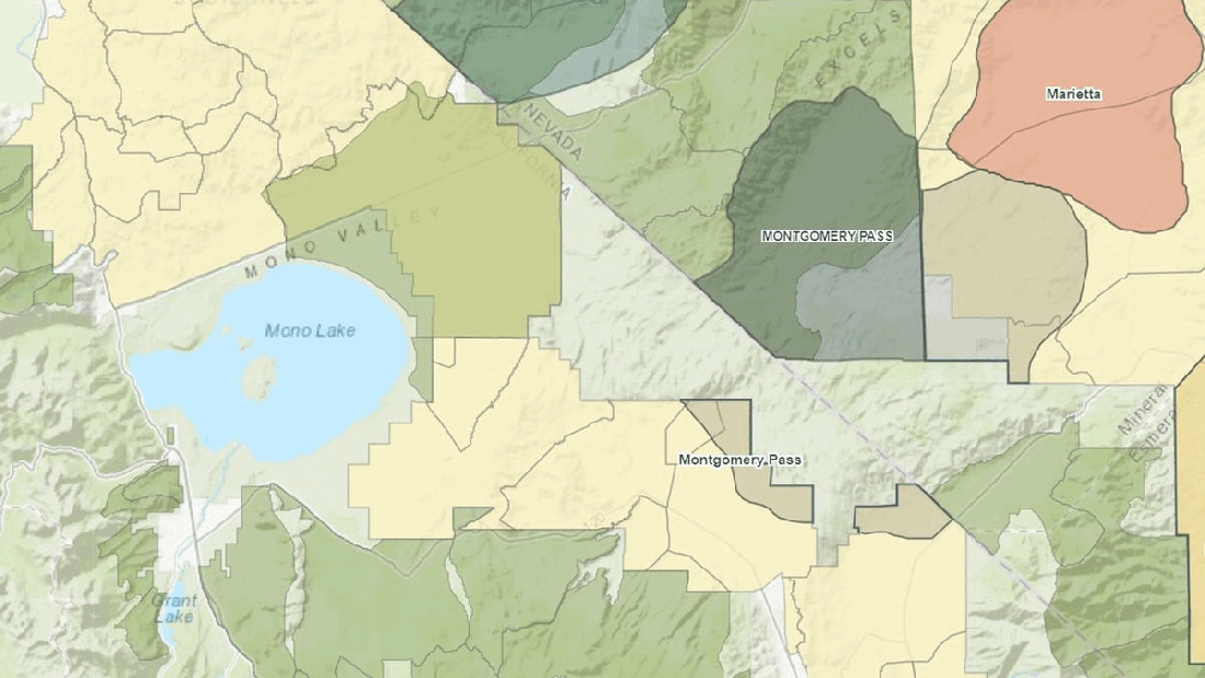 Montgomery Pass Herd Migration 10-14-22