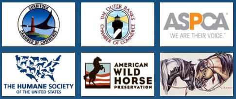 CWHF Member Groups 11-17-22