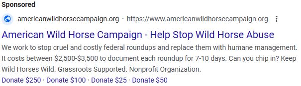 CAAWH Paid Ad on Google 12-29-22