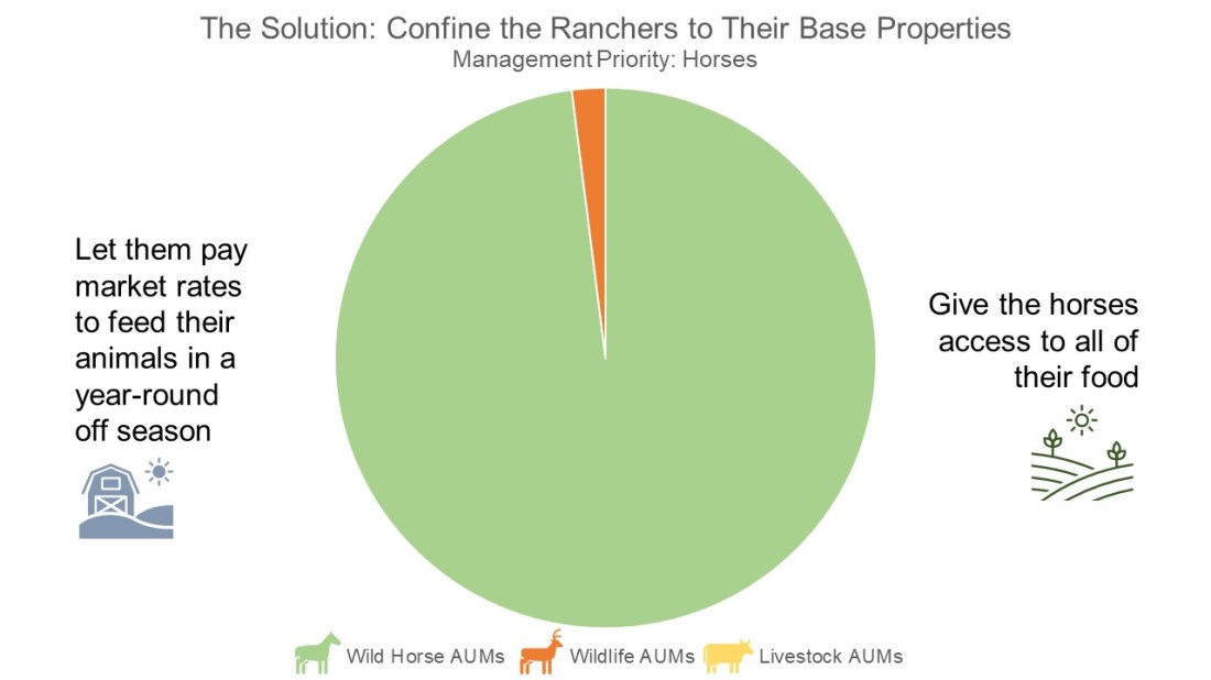 The Solution 12-04-22