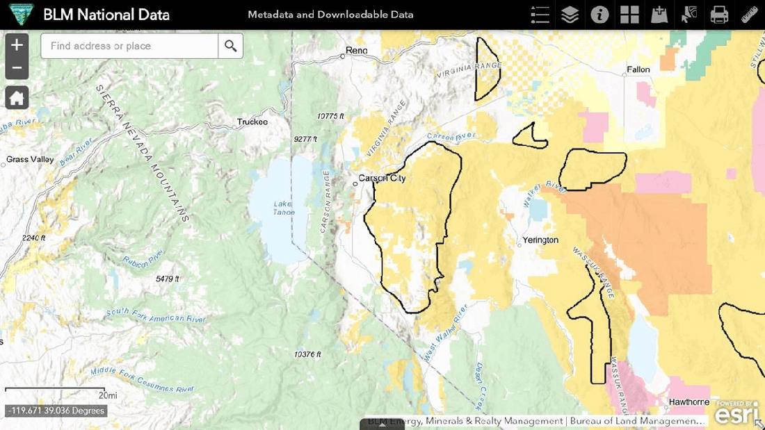 What Happened to Pine Nut AUMs 01-01-23