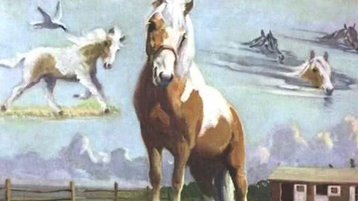 Misty of Chincoteague Beebe Ranch Fundraiser 03-23-23