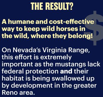 Virginia Range Darting Justification 04-10-23