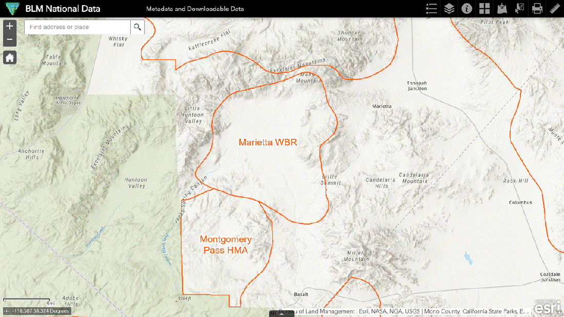 Marietta WBR with Allotments 06-09-23