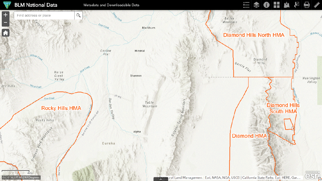 Diamond Springs Ranch with Allotments 07-12-23