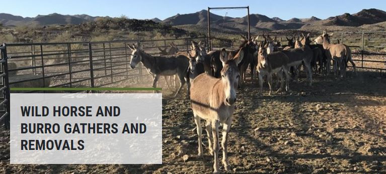 Gathers and Removals Image 09-15-23