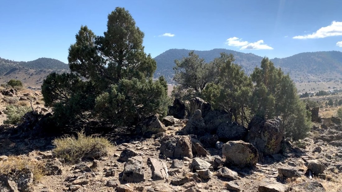 Rock Garden on Virginia Range 10-26-23