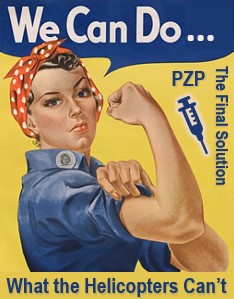 We Can Do What Helicopters Can't 12-27-23