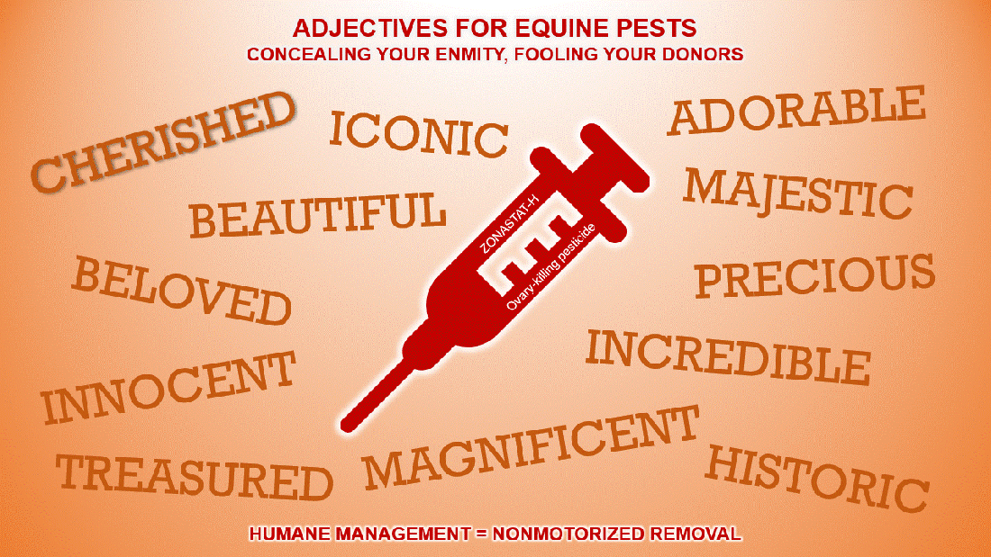 Adjectives for Equine Pests 01-03-24