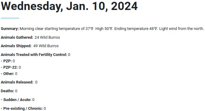 Black Mountain Roundup Data Day 2 01-11-24