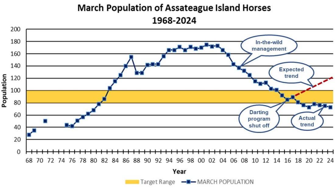 Assateague Population Trend March 2024 Update 04-10-24