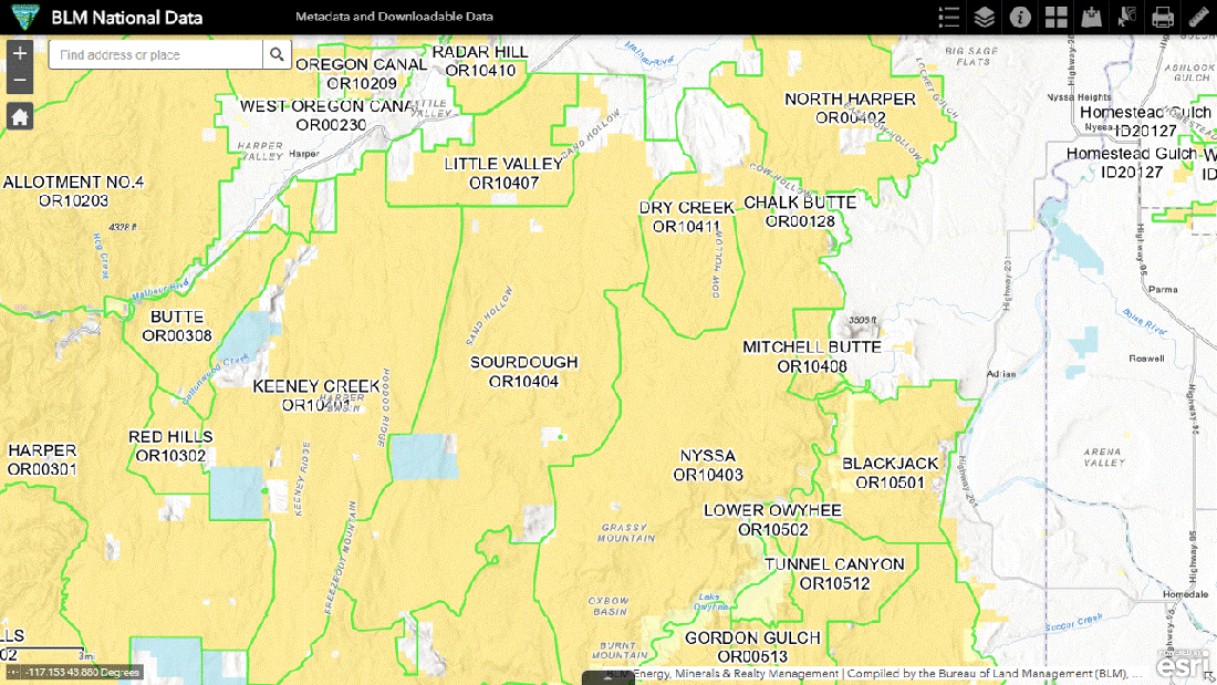 Sourdough Allotment 04-01-24
