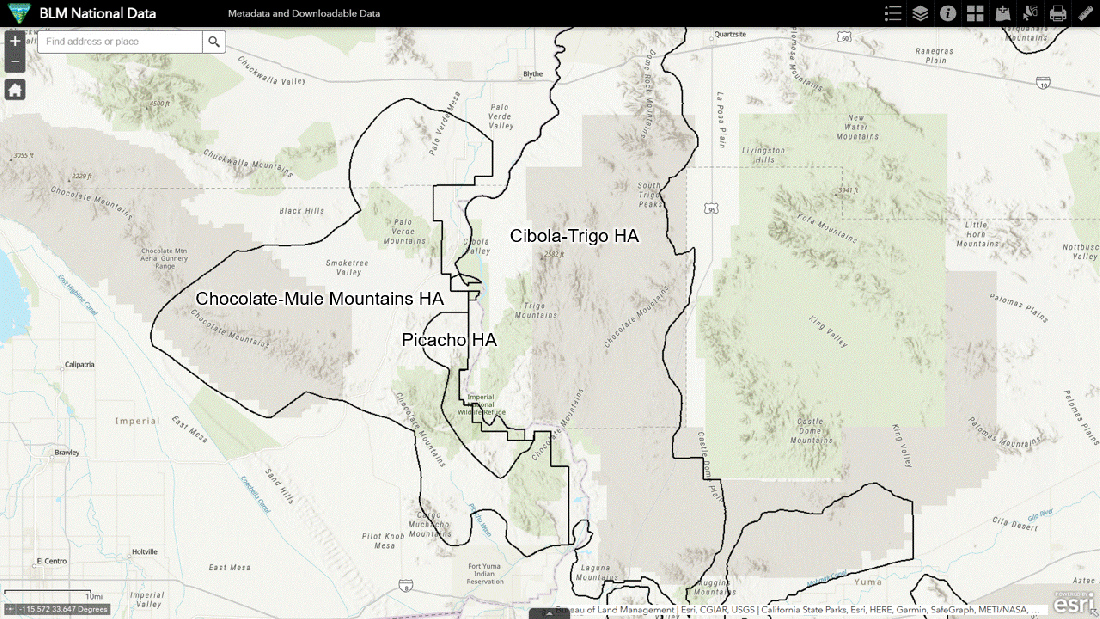 Cibola-Trigo Burro Removal 05-08-24