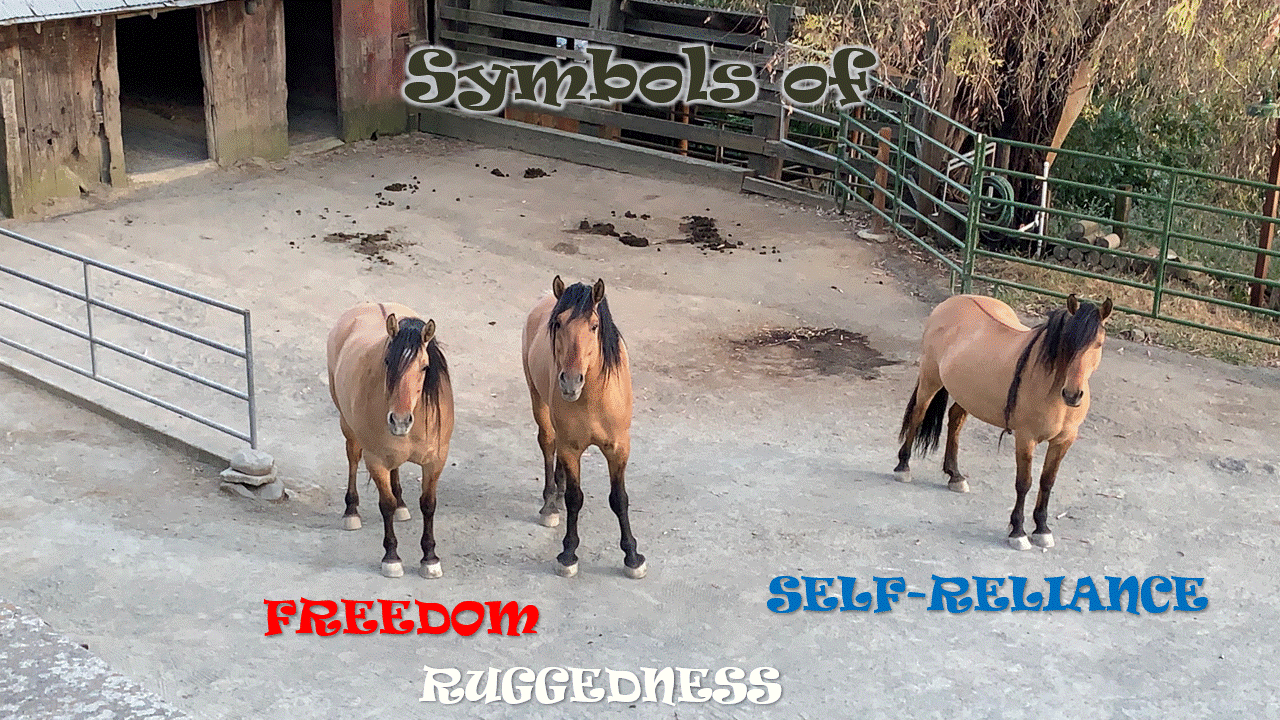 Symbols of Independence 07-04-24