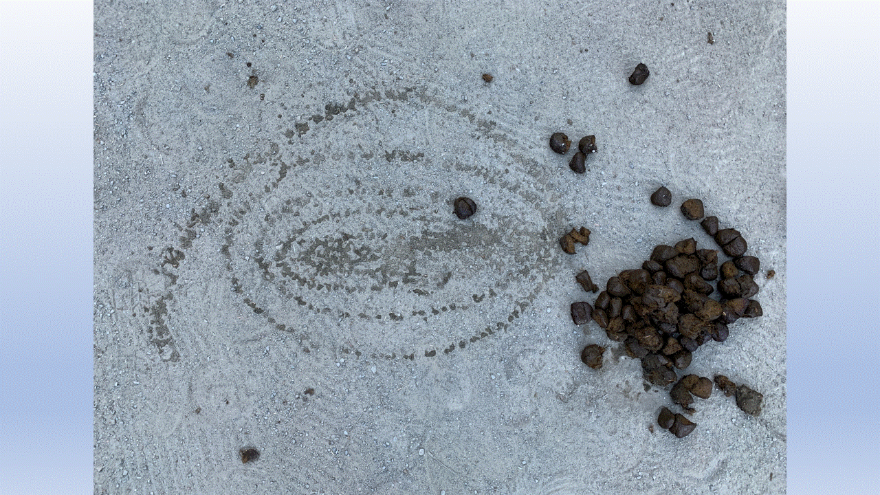 Ancient Astronaut Markings 09-30-24