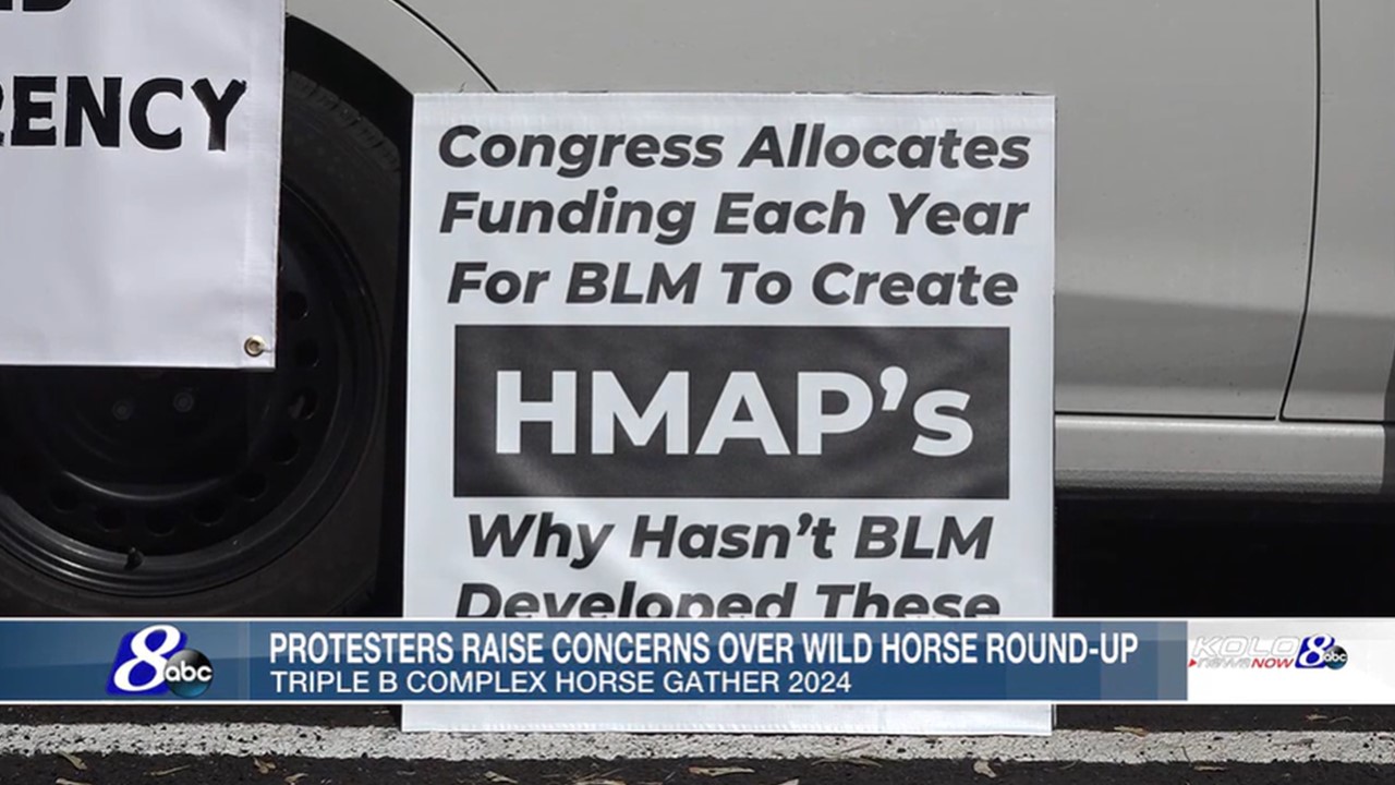 HMAPs Pacifiers for Advocates 10-10-24