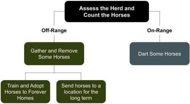Management Model 12-26-24