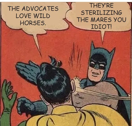Advocates Sterilizing Mares 01-04-25